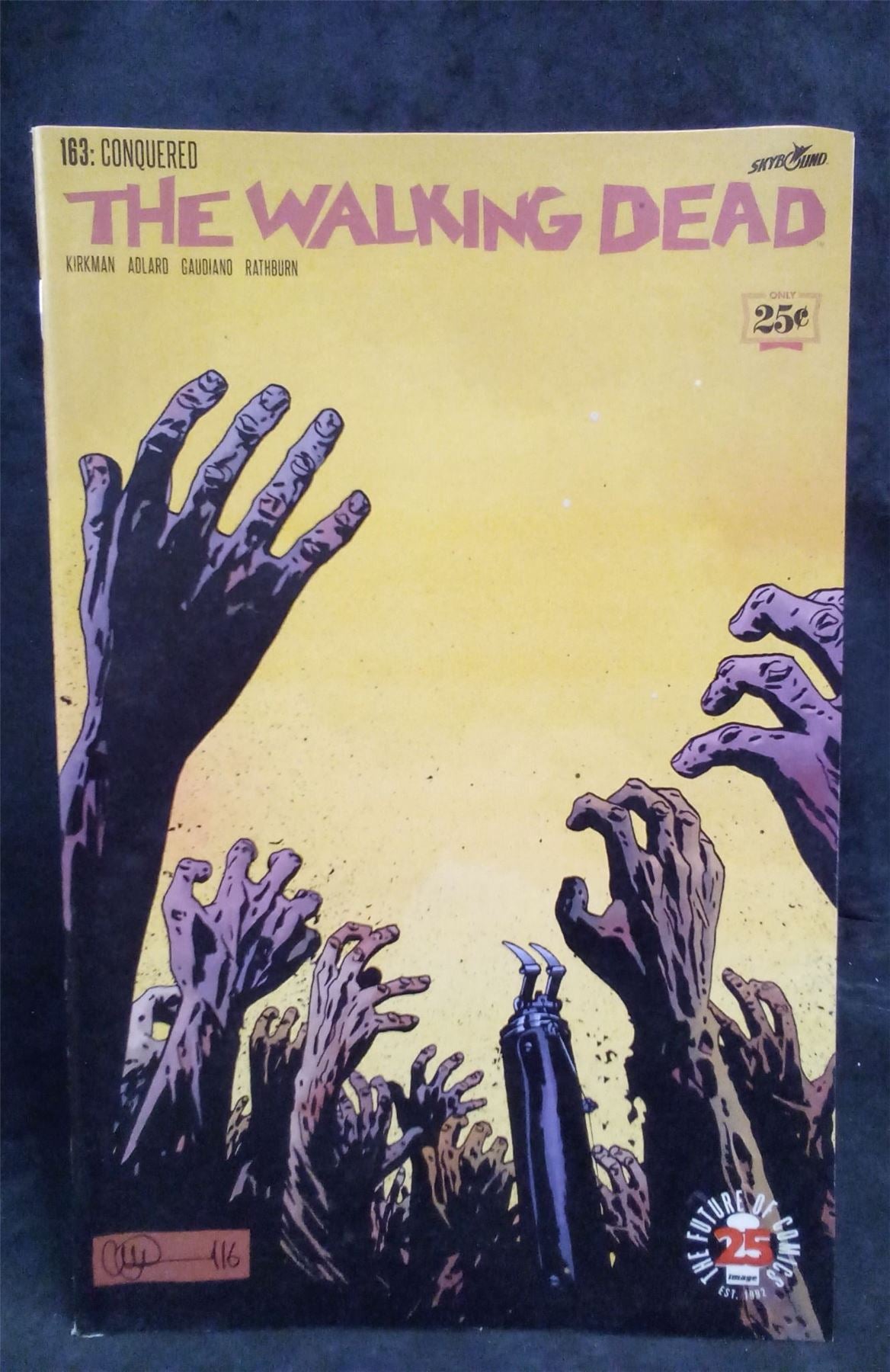 The Walking Dead #163 2017 Skybound Comic Book
