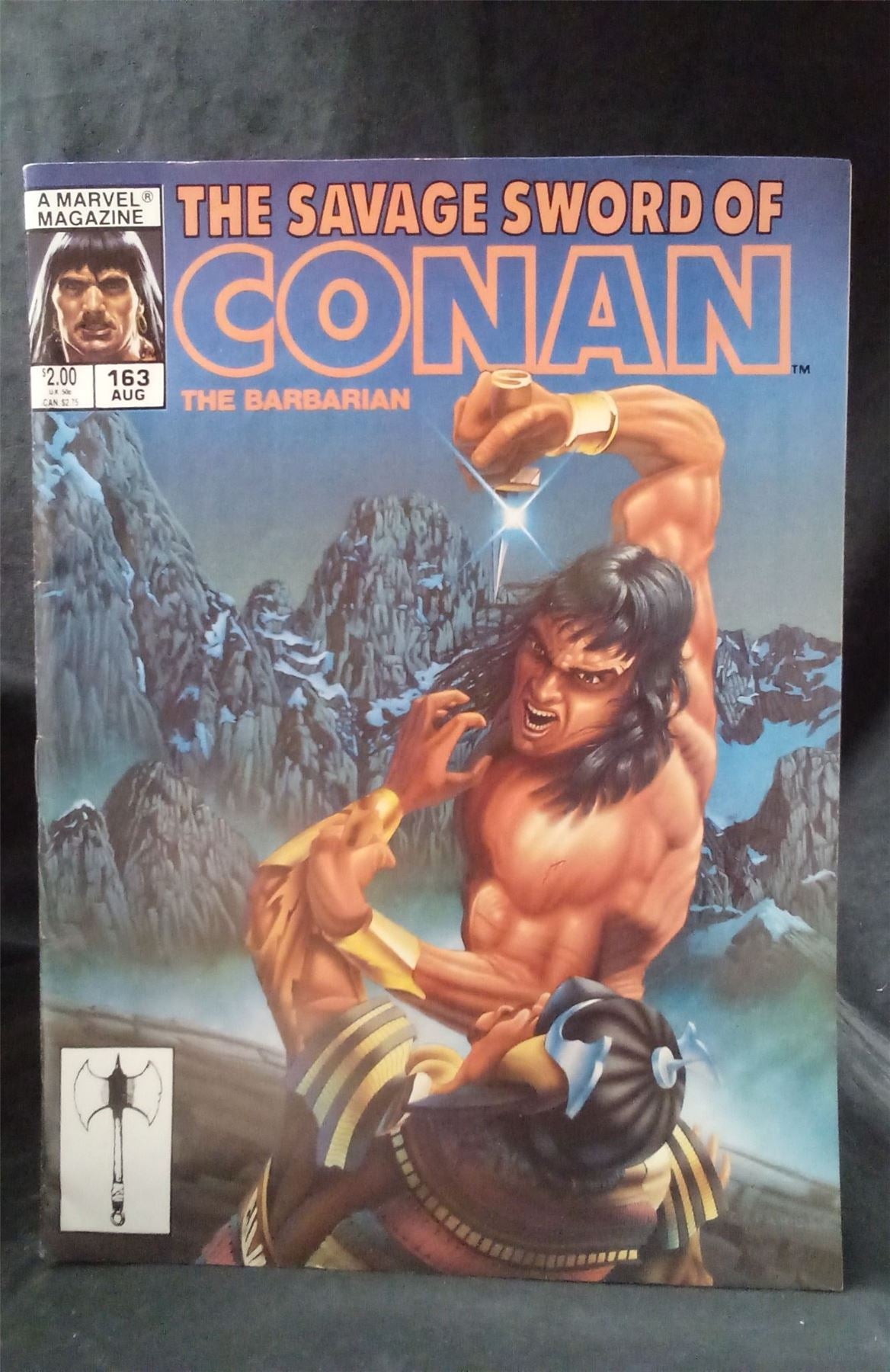 The Savage Sword of Conan #163 1989 Marvel Comics Comic Book