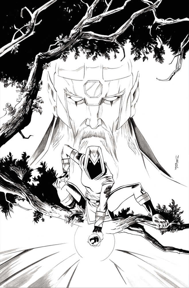 Thundercats #12 Cover S 25 Copy Variant Edition Shalvey Line Art Virgin (