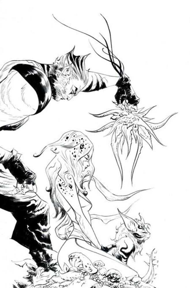 Thundercats #19 Cover T Inc 1:7 Jae Lee Line Art Full Art Variant