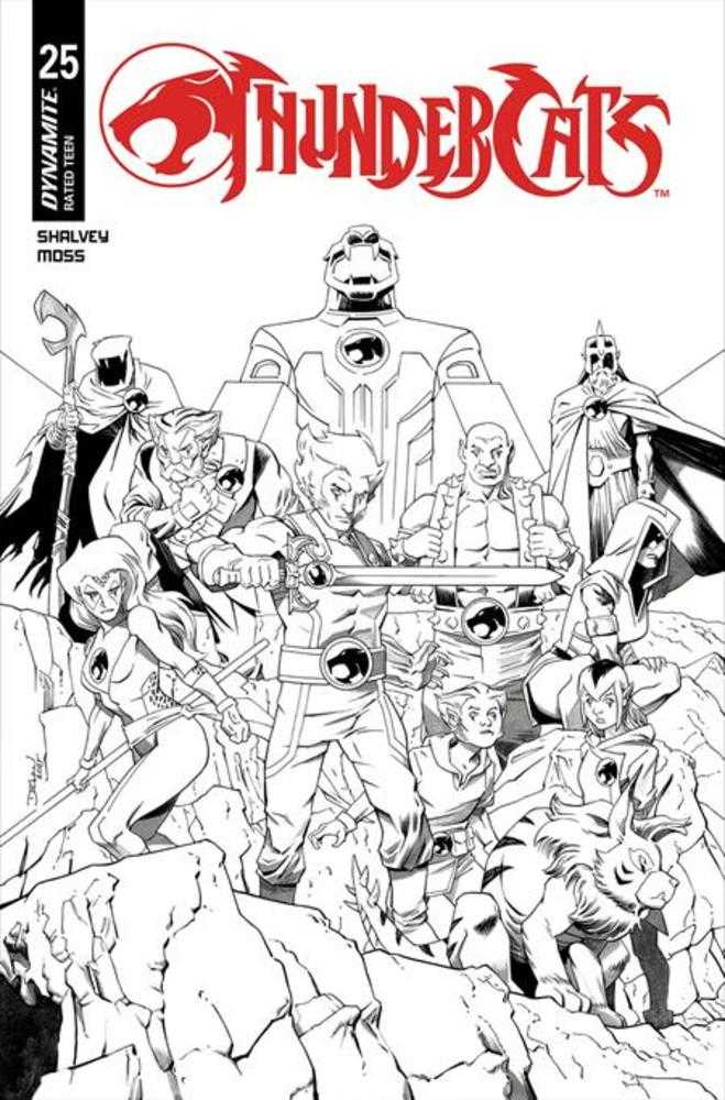 Thundercats #25 Cover L Declan Shalvey Line Art Variant