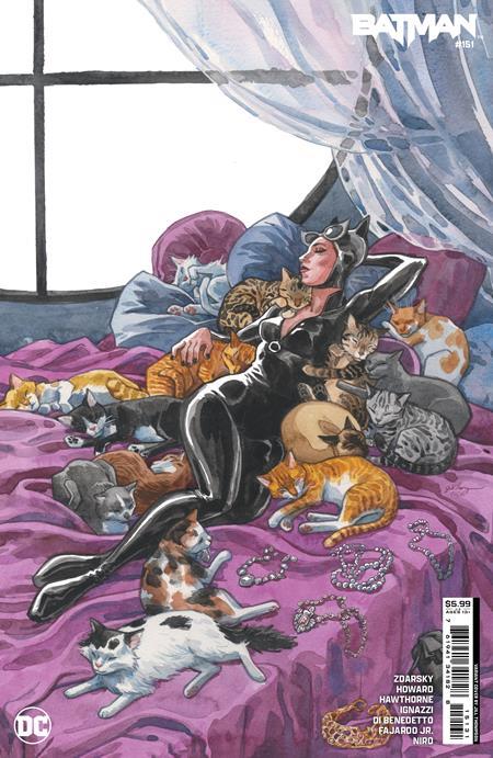 Batman #151 Cvr C Jill Thompson Card Stock Var (absolute Power) DC Comics Comic Book