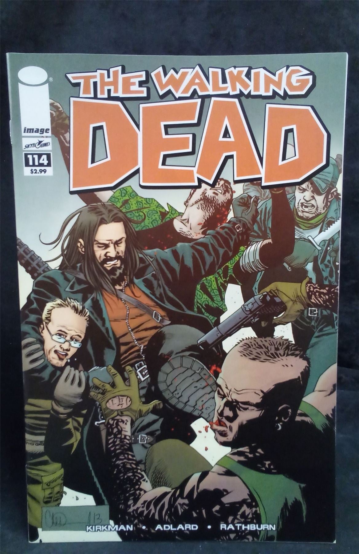 The Walking Dead #114 2013 Skybound Comic Book