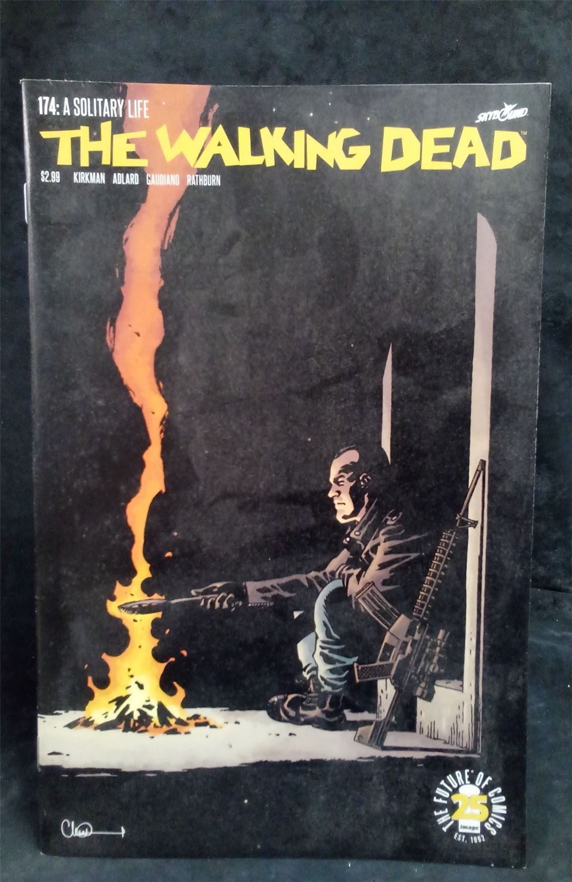 The Walking Dead #174 2017 Skybound Comic Book