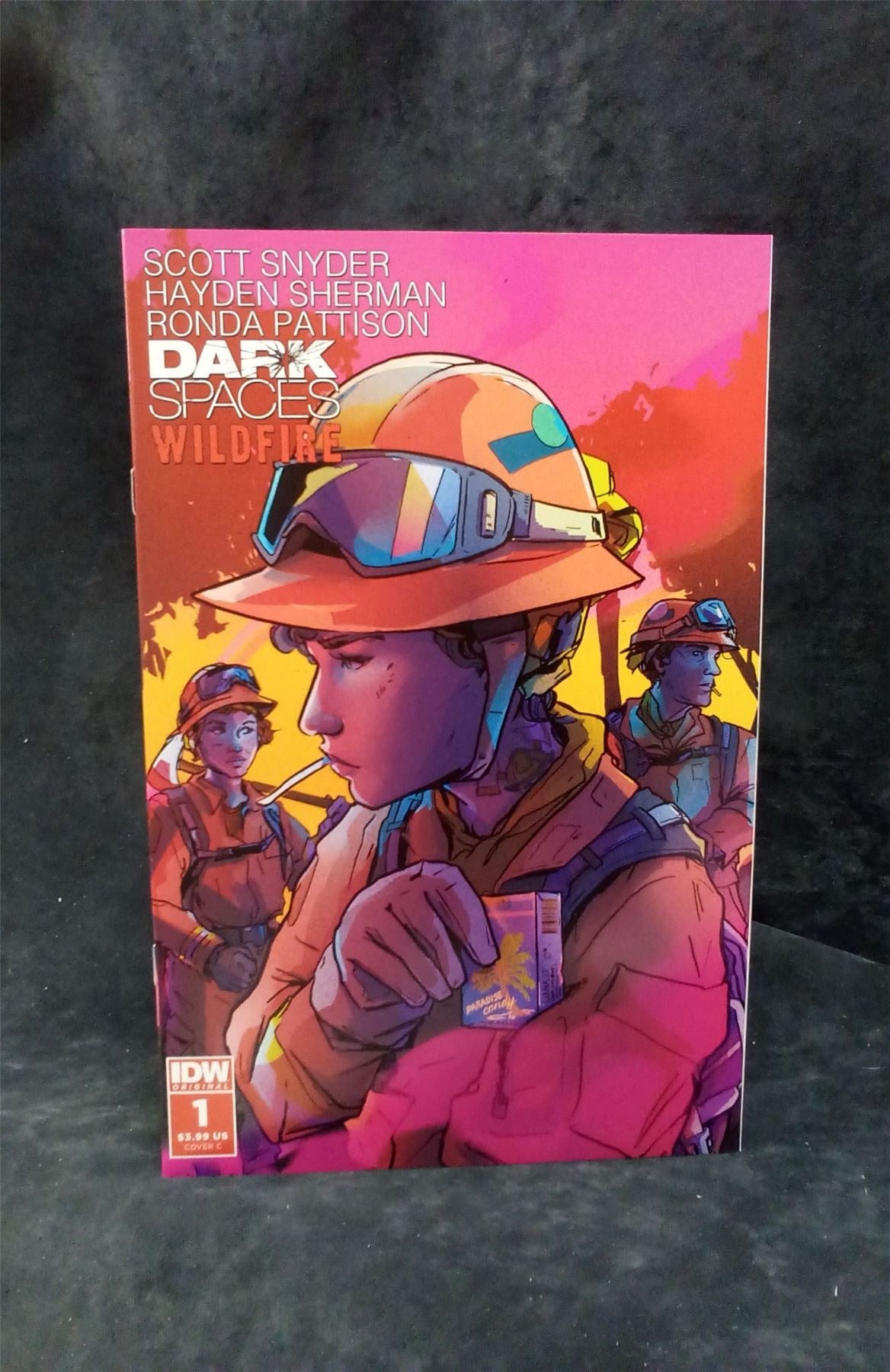 Dark Spaces: Wildfire #1 Cover C 2022 IDW Comic Book