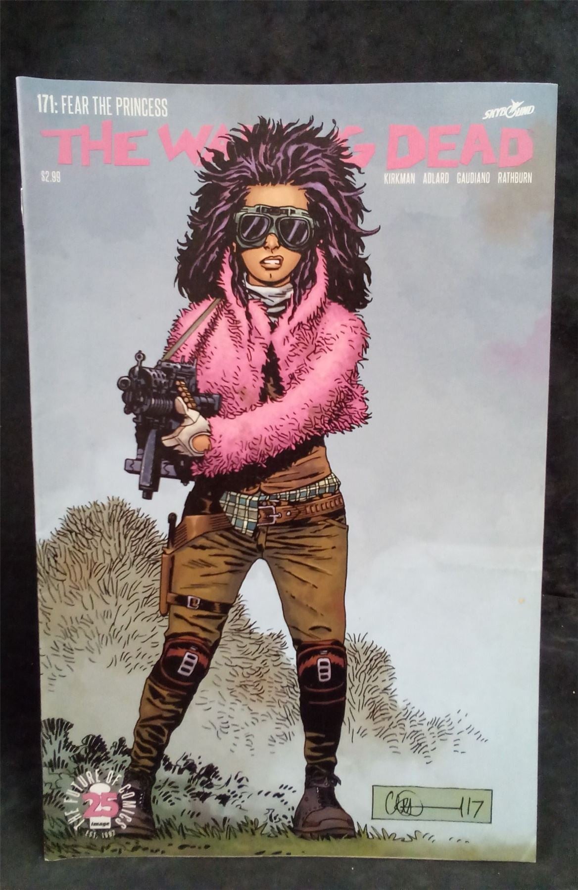 The Walking Dead #171 2017 Skybound Comic Book