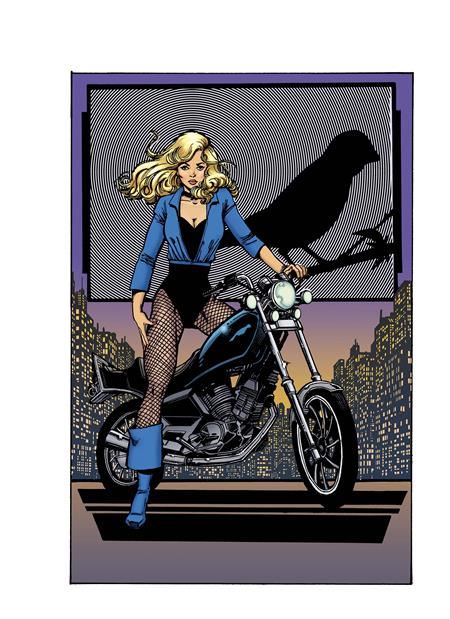 Birds Of Prey #22 Cvr D George Perez Legacy Card Stock Var DC Comics Comic Book