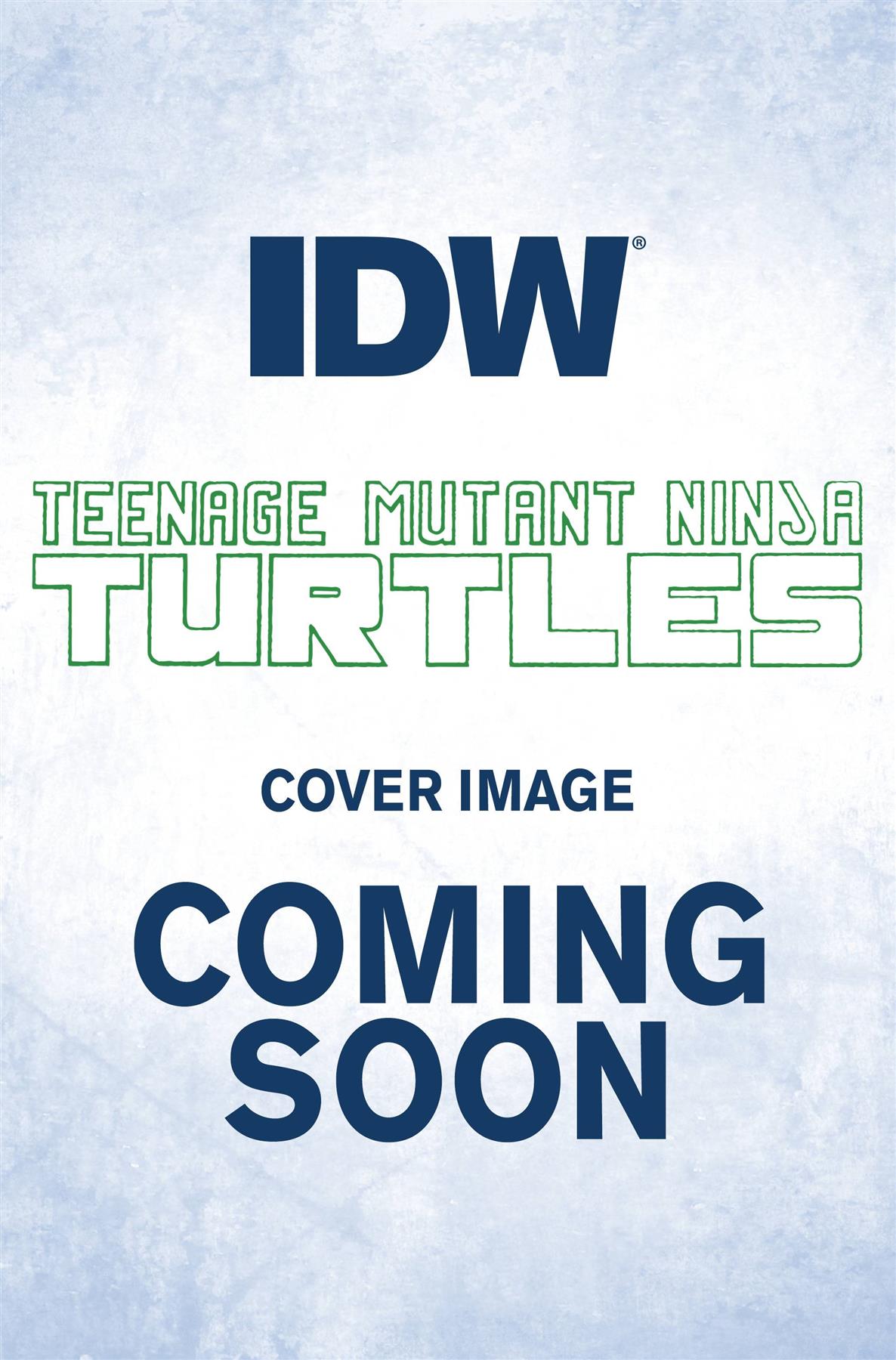 Tmnt Ongoing #142 Cvr B Eastman Idw-prh Comic Book