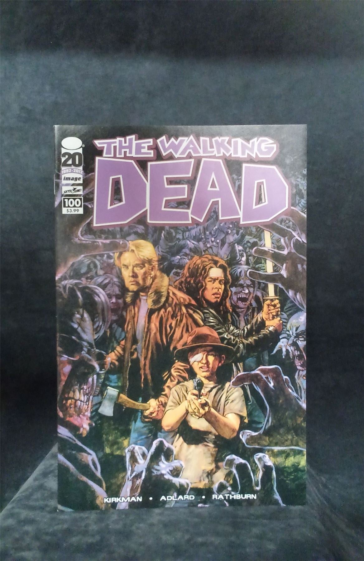 The Walking Dead #100 Cover E 2012 skybound Comic Book