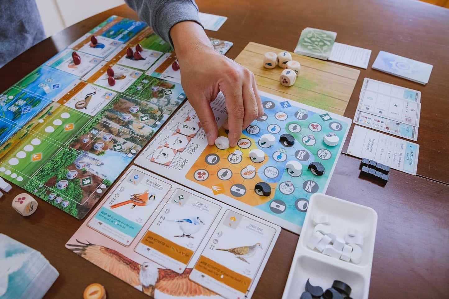 Wingspan 2nd Edition Board Game by Stonemaier Games
