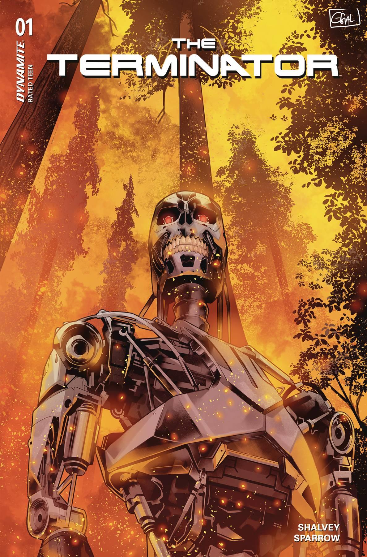 Terminator #1 Cvr B Galmon Dynamite Comic Book