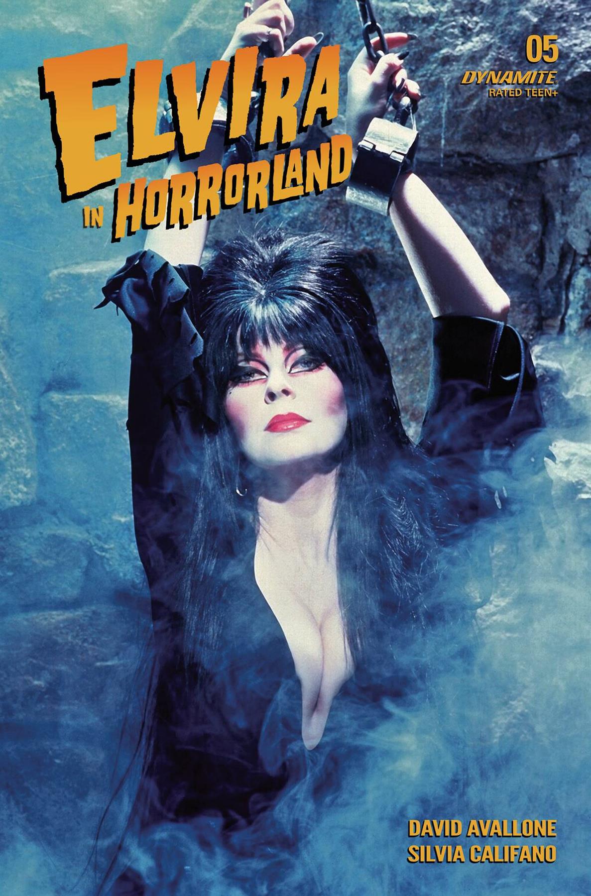 Elvira In Horrorland #5 Cvr D Photo Dynamite Comic Book