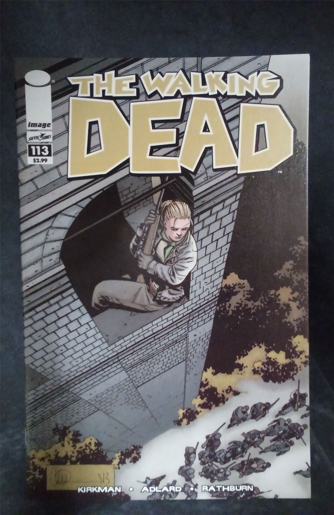 The Walking Dead #113 2013 skybound Comics Comic Book