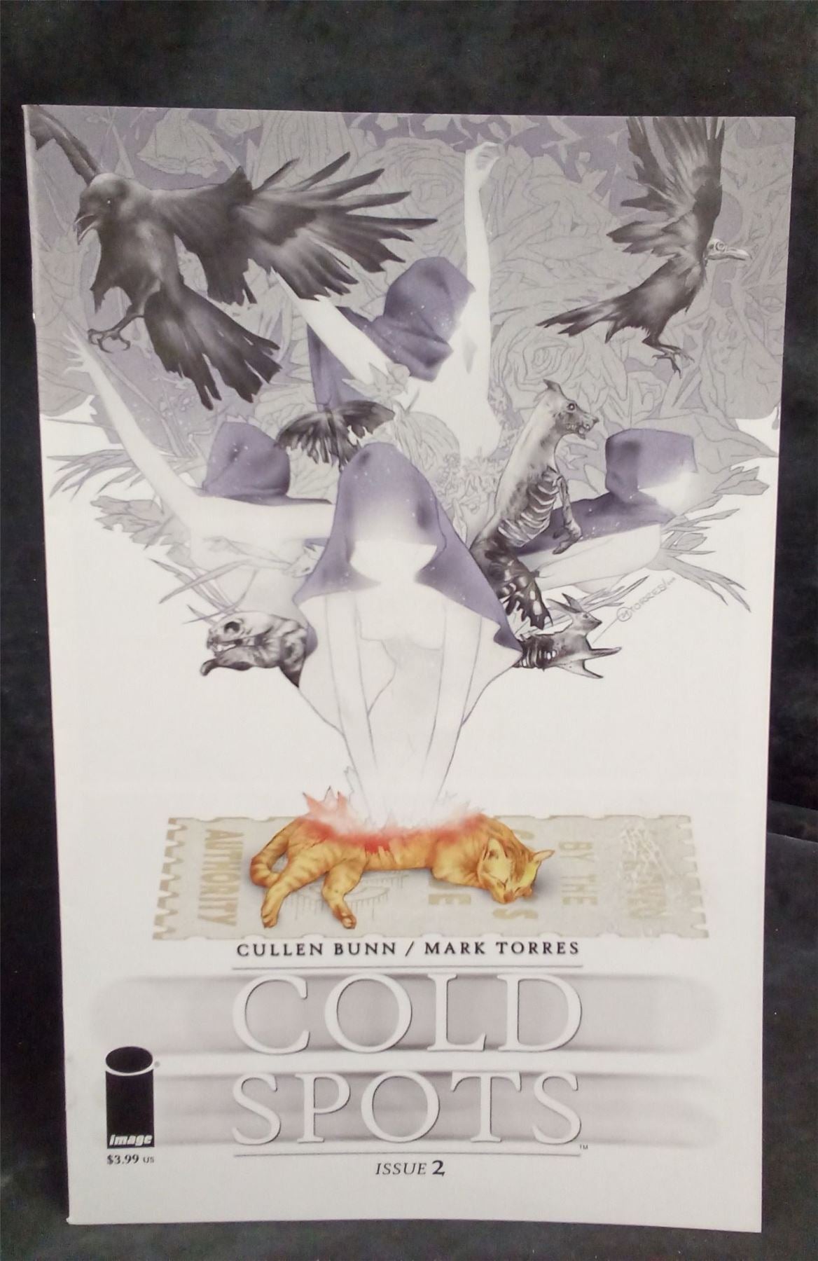 Cold Spots #2 2018 Image Comics Comic Book