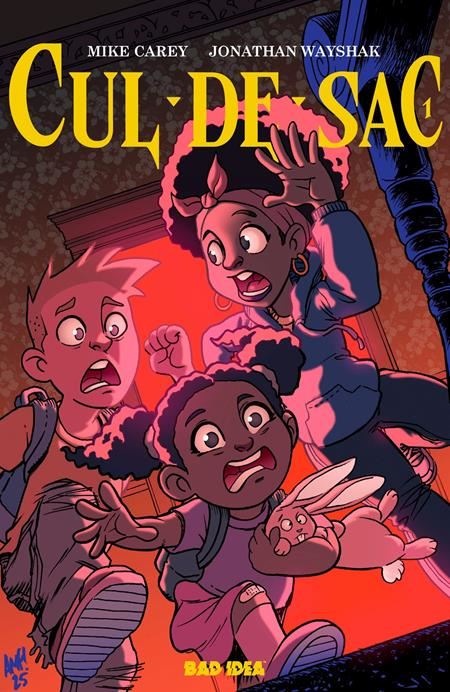 CUL DE SAC #1 (OF 4) CVR B TONY FLEECS CURSED MIRROR VAR BAD IDEA Comic Book 2025