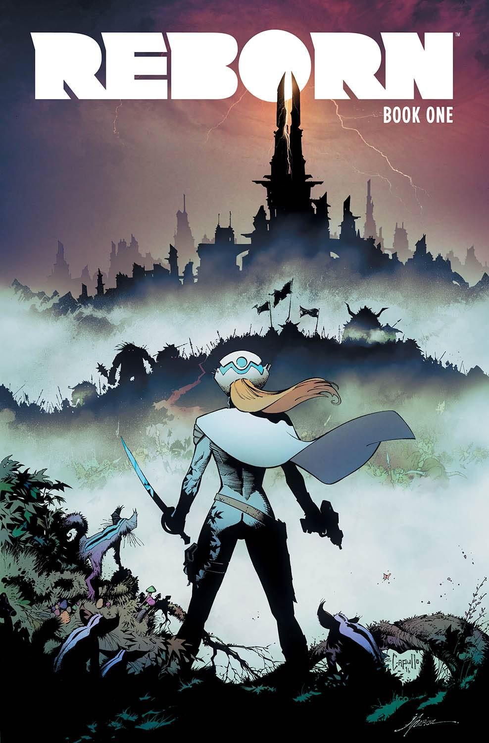 Reborn Hc Image Comics