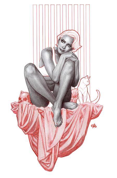 Catwoman #79 Cvr B Frank Cho Card Stock Var DC Comics Comic Book