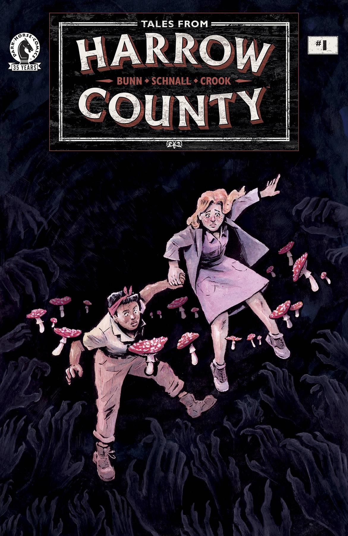 Tales From Harrow County Fair Folk #1 (of 4) Cvr A Schnall Dark Horse Comics Comic Book