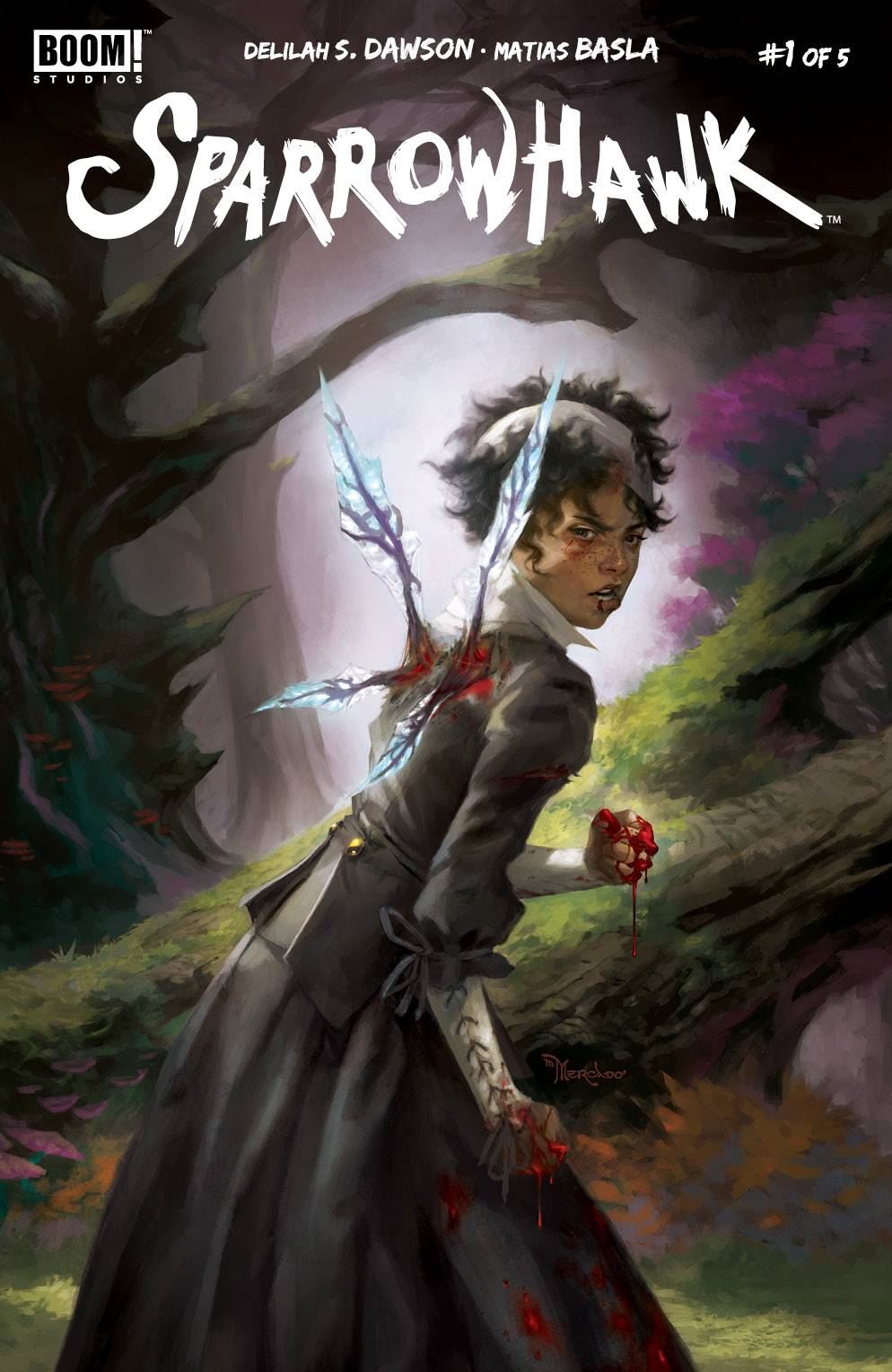 Sparrowhawk #1 Boom! Studios Comic Book