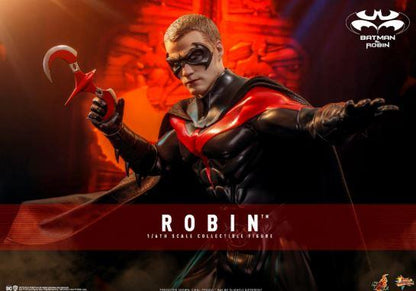 Robin 1/6 Scale Action Figure Batman & Robin by Hot Toys