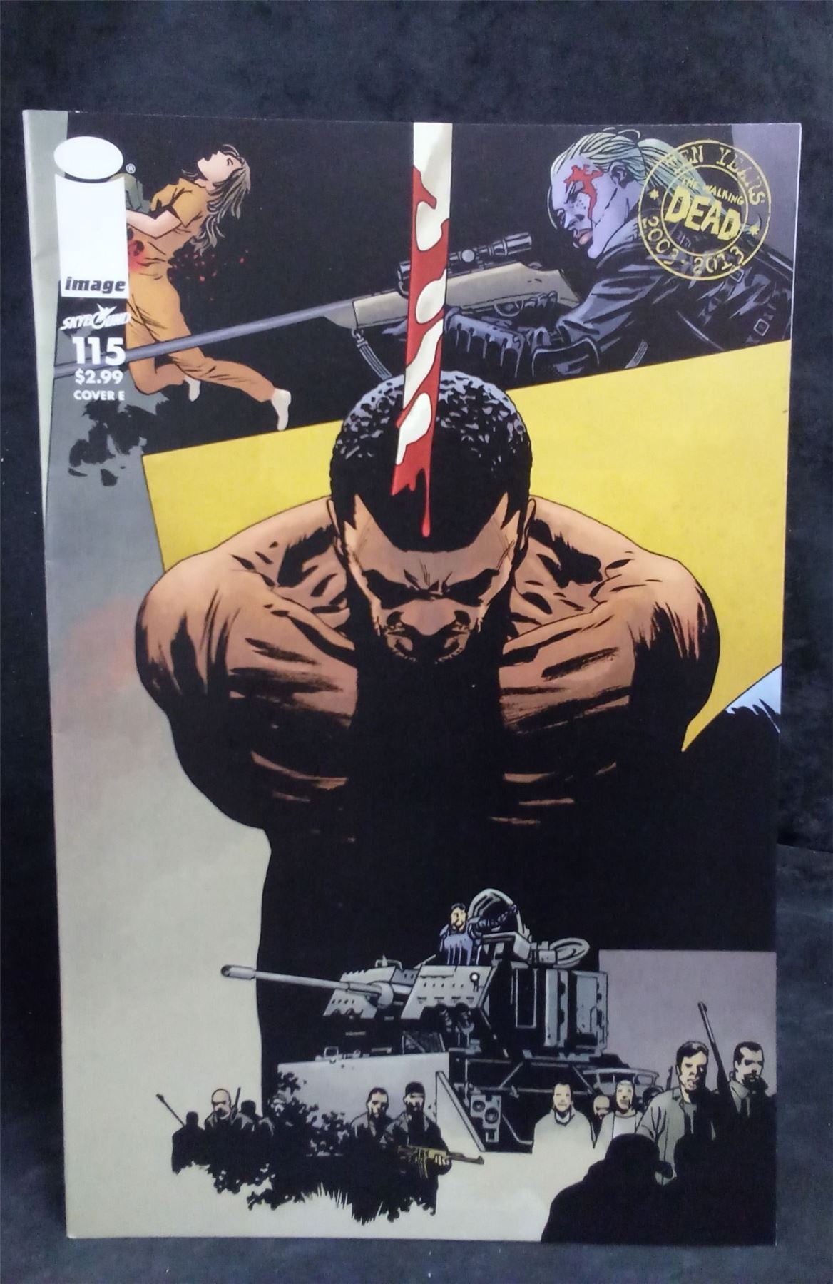 The Walking Dead #115 Cover E 2013 Skybound Comic Book