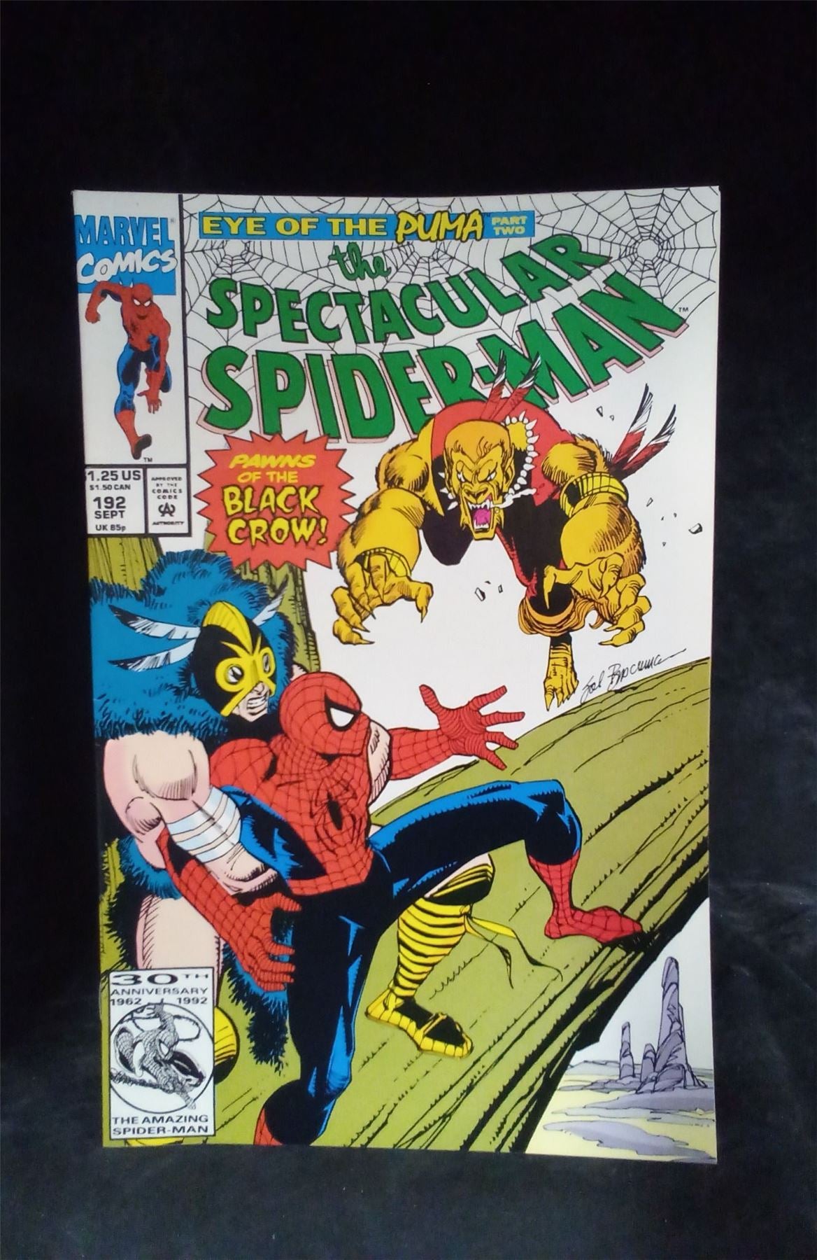 The Spectacular Spider-Man #192 1992 Marvel Comics Comic Book