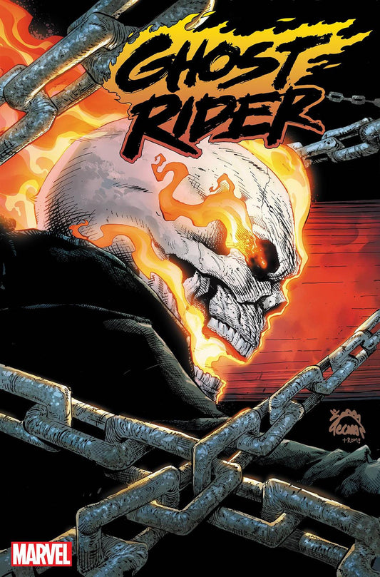 Ghost Rider #1 2nd Ptg Stegman Var Marvel Prh Comic Book