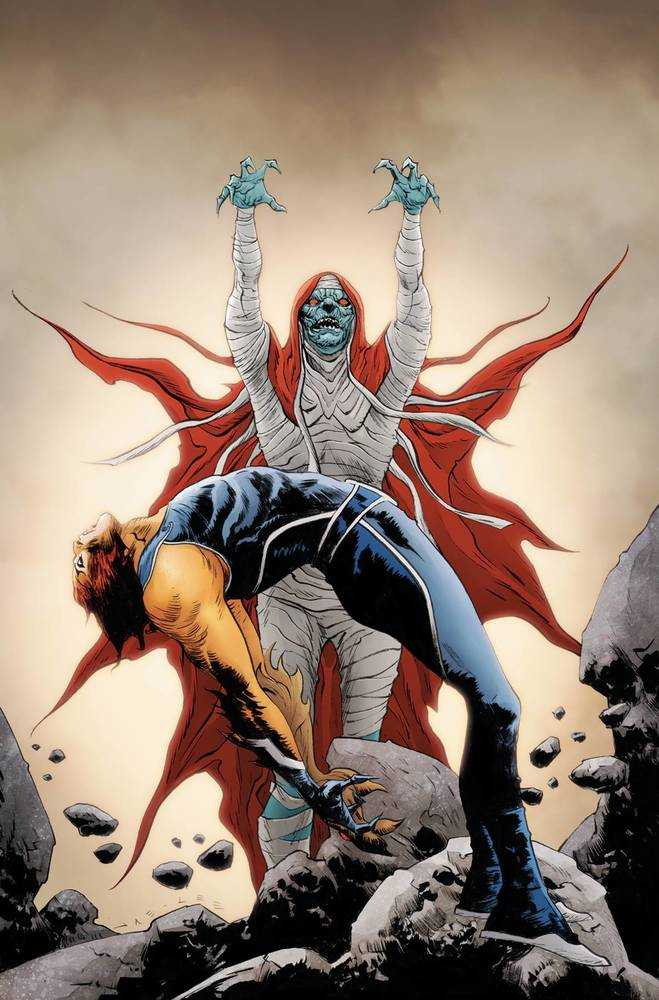 Thundercats #11 Cover Zc 11 Copy Foc Variant Edition Lee Virgin Foil