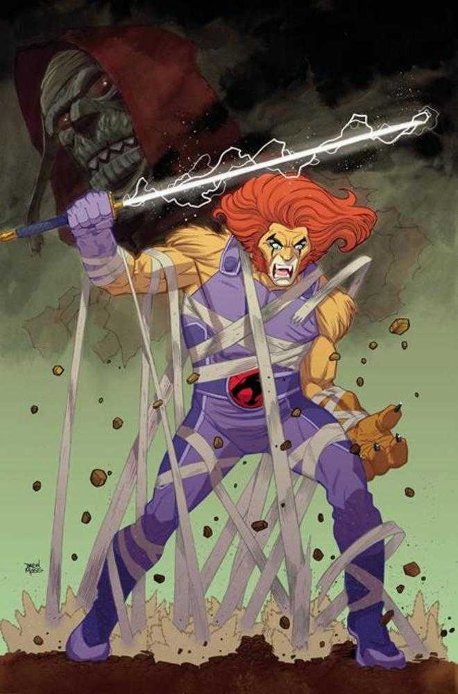 Thundercats #16 Cover S Inc 1:15 Drew Moss Full Art Variant