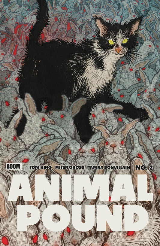 Animal Pound #2 (of 5) Cvr B Shimizu (mr) Boom! Studios Comic Book