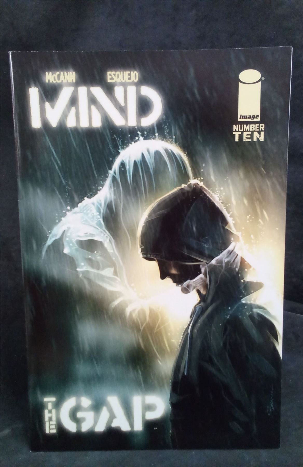 Mind the Gap #10 Variant Cover 2013 Image Comics Comic Book