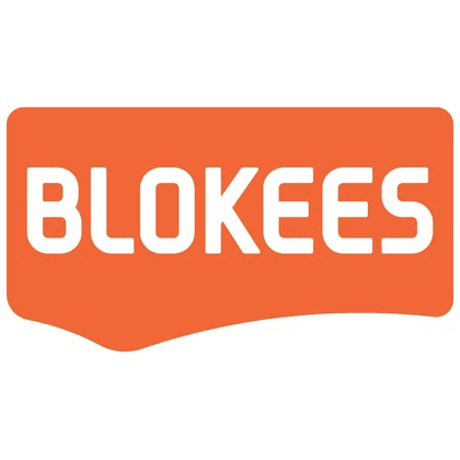 Blokees Transformers Classic Class 10 Megatron Model