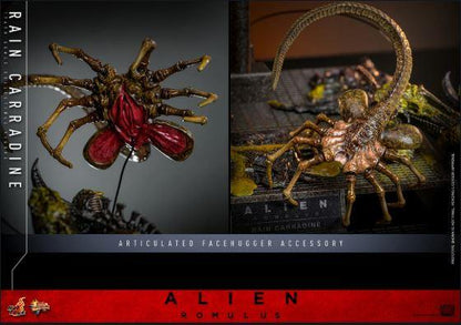 Rain Carradine Sixth Scale Figure Alien Romulus Hot Toys
