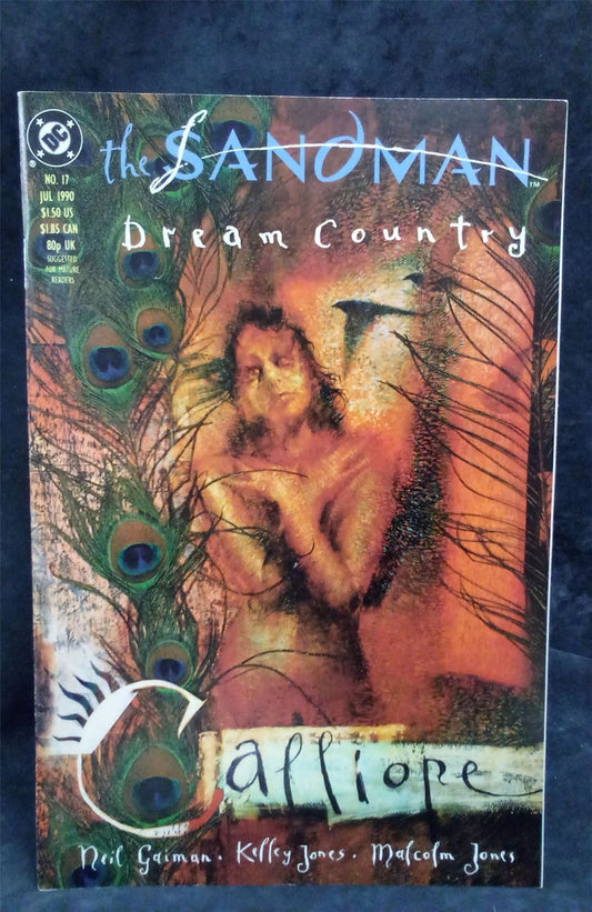 The Sandman #17 1990 DC Comics Comic Book