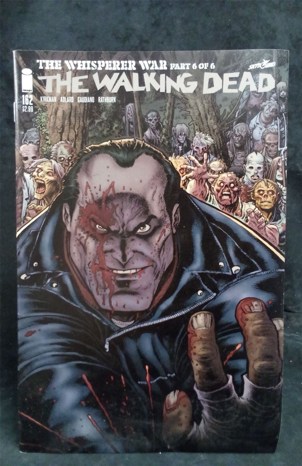 The Walking Dead #162 Variant Cover 2016 Skybound Comic Book