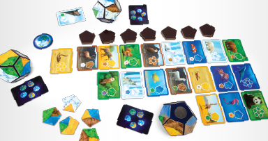 Planet By Blue Orange Board Game