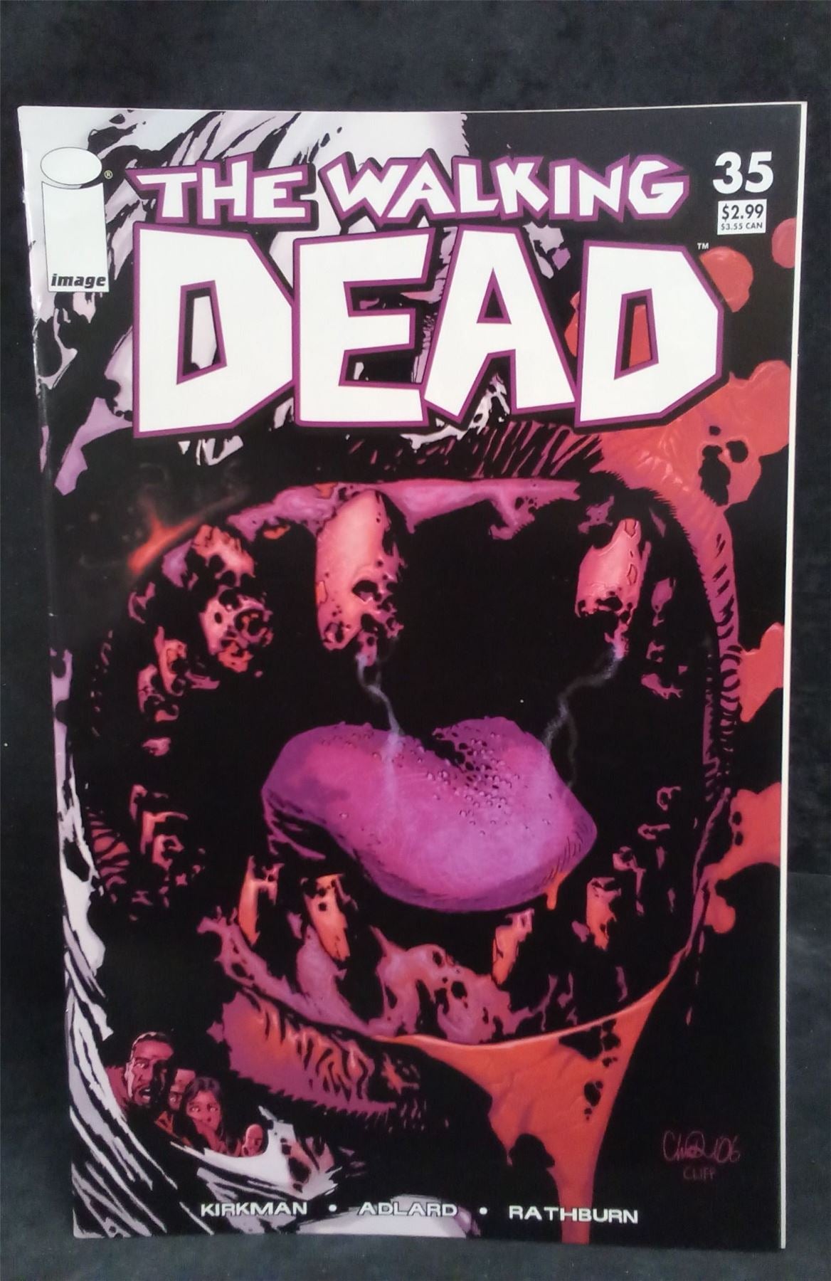 The Walking Dead #35 2007 Skybound Comic Book
