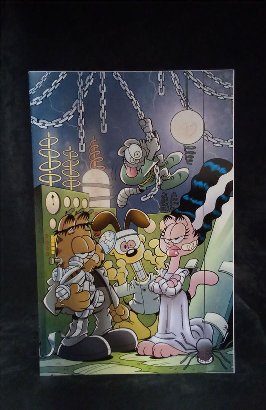Garfield #6 Variant Cover 2012 Boom Studios Comic Book