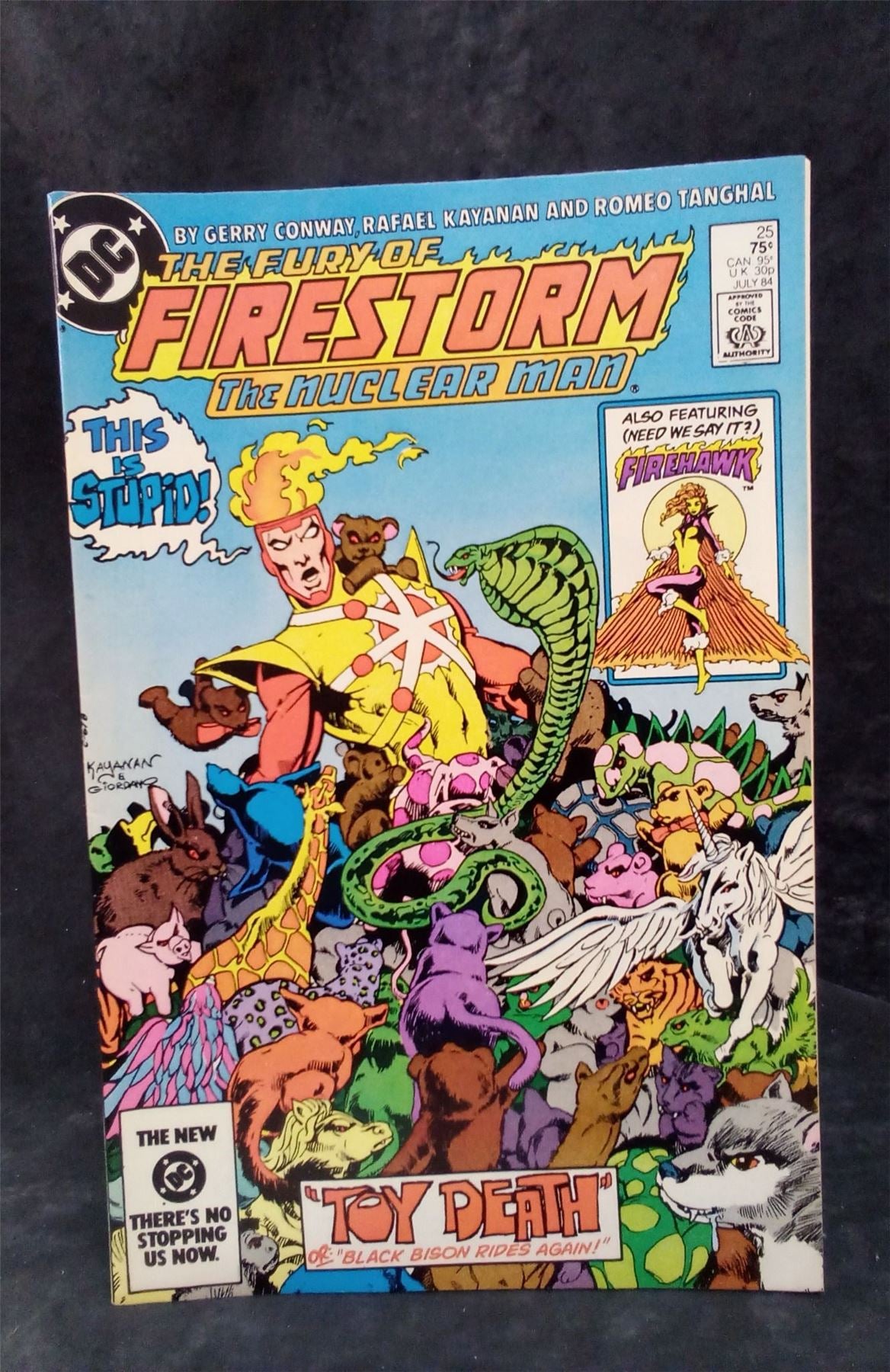 The Fury of Firestorm #25 1984 DC Comics Comic Book