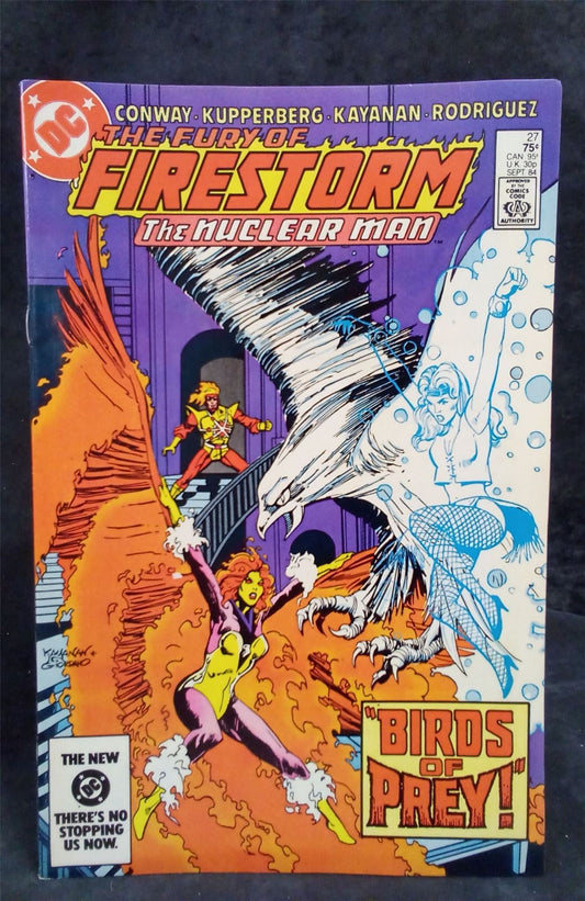 The Fury of Firestorm #27 (1984 DC Comics Comic Book