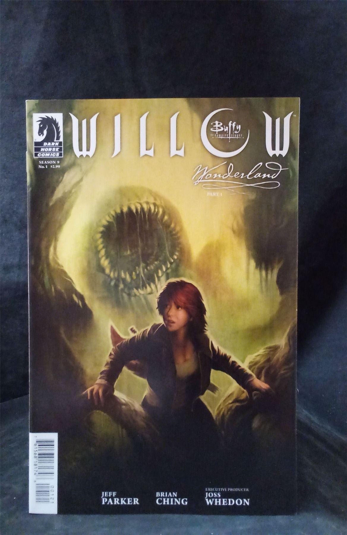 Willow #1 Variant Cover 2012  Comic Book