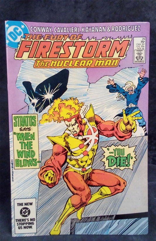 The Fury of Firestorm #29 (1984 DC Comics Comic Book