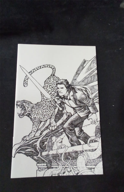 Angel #18 cover B IDW Comics Comic Book