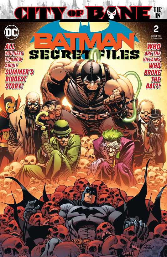 Batman Secret Files #2 DC Comics Comic Book