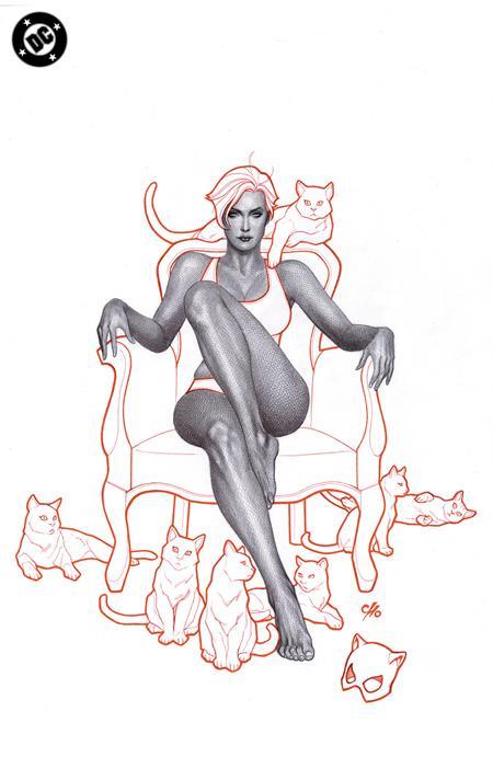 Catwoman #69 Cvr B Frank Cho Card Stock Var DC Comics Comic Book
