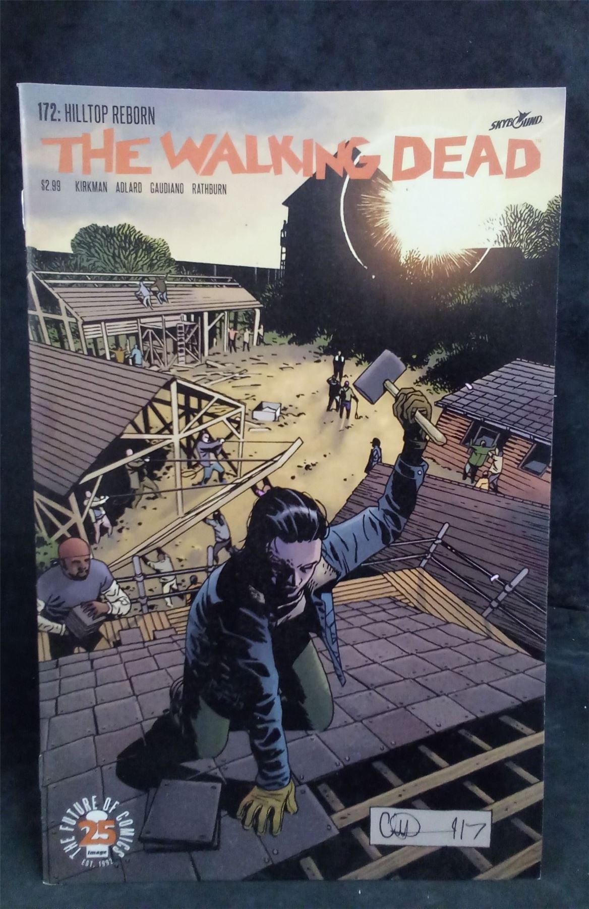 The Walking Dead #172 2017 Skybound Comic Book