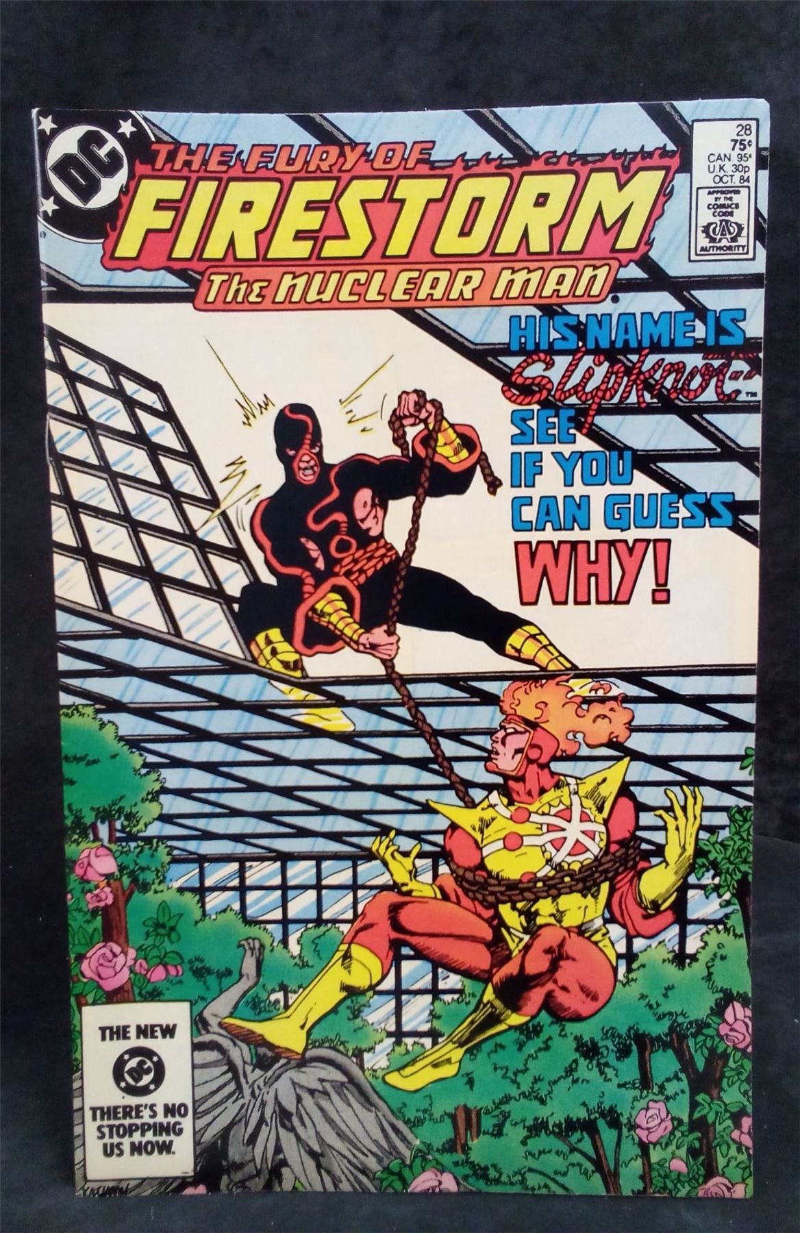 The Fury of Firestorm #28 (1984 DC Comics Comic Book