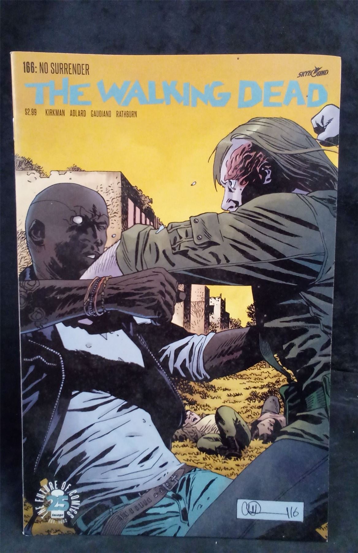 The Walking Dead #166 2017 Skybound Comic Book