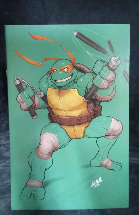 Teenage Mutant Ninja Turtles #2 Cover P 2024 IDW Comic Book