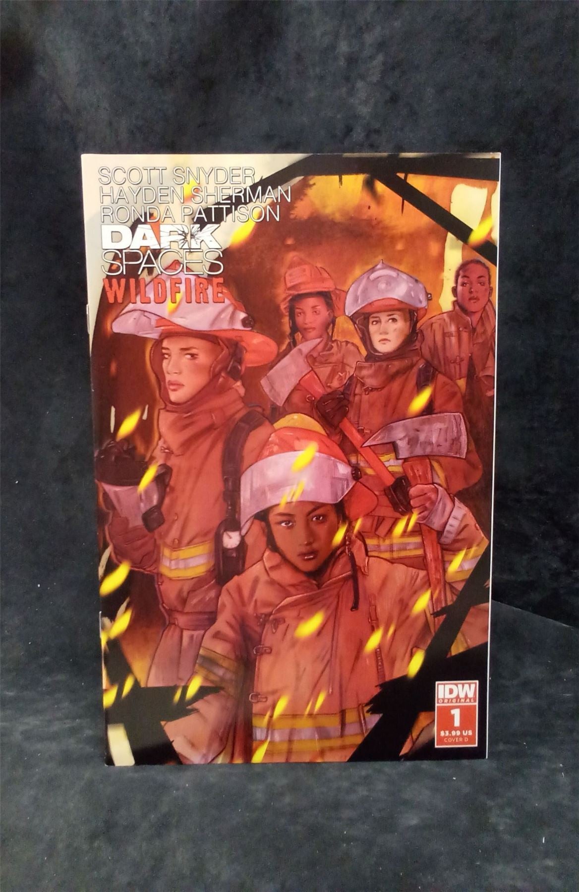 Dark Spaces: Wildfire #1 Cover D 2022 IDW Comic Book